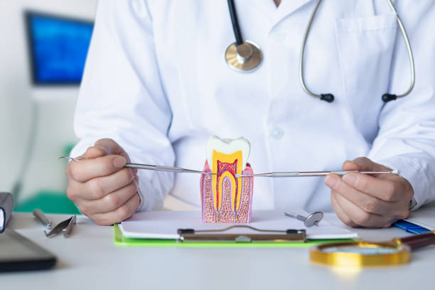 Best Emergency Dental Services for Seniors in Comanche, TX